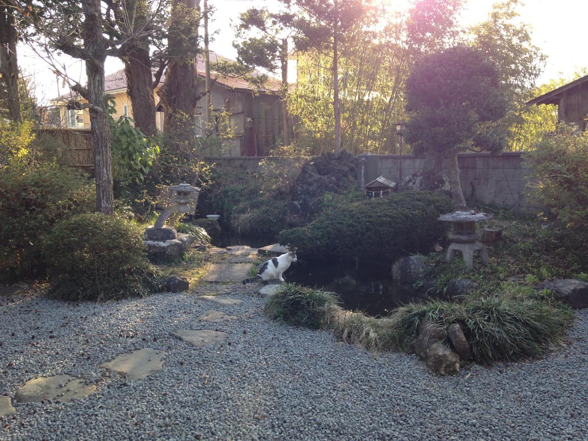 Mt Fuji Historical Oshi House Hitsuki Hotel Fujiyoshida Luaran gambar